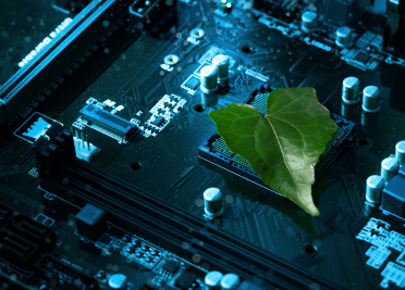 Sustainable IT Asset Disposition